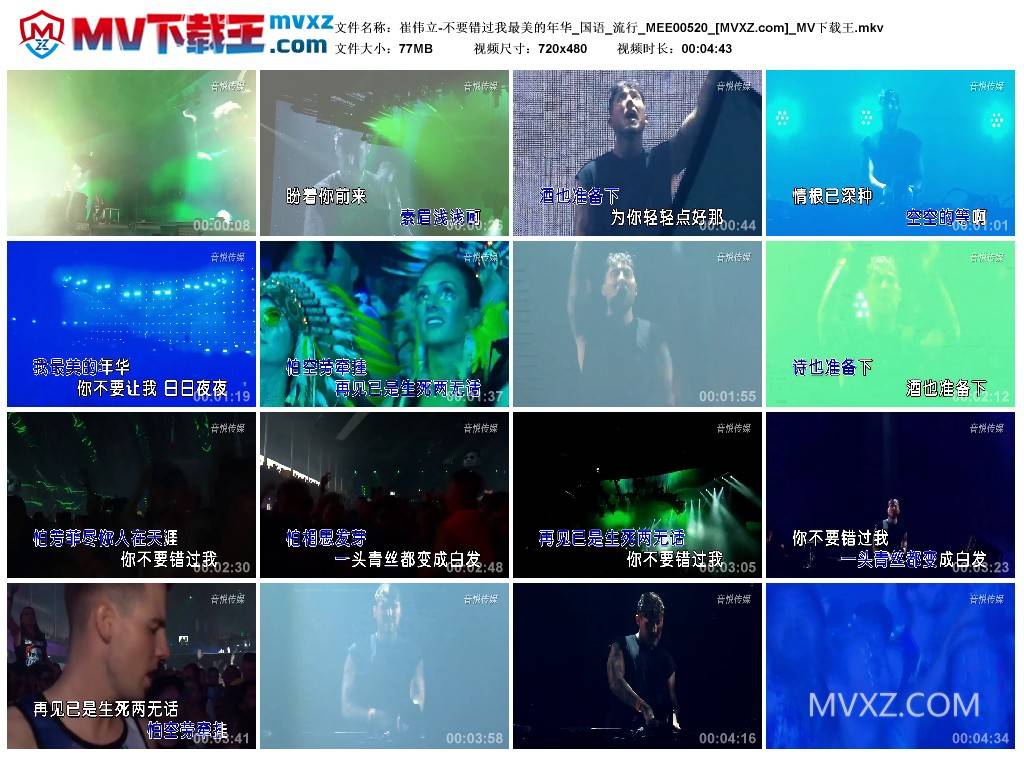 崔伟立-不要错过我最美的年华_国语_流行_MEE00520